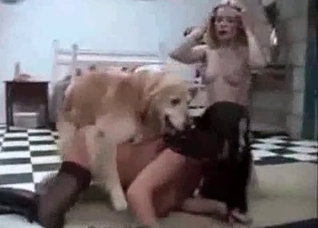 Two bitches and their doggy