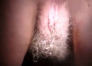 Hairy twat of a dirty zoophile