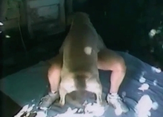 Trying to fuck with a dog