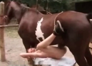 Banged hot by a stallion wiener