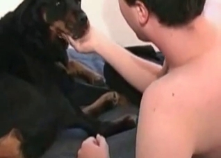 Black doggy is being explored