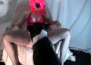 Fellatio action with an animal