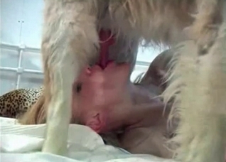 Elegant blonde does a bestial blowjob