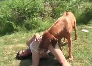 Bestiality sex on the green grass