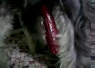 Zoophile is doing what she want
